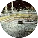 Hayya Ali profile picture